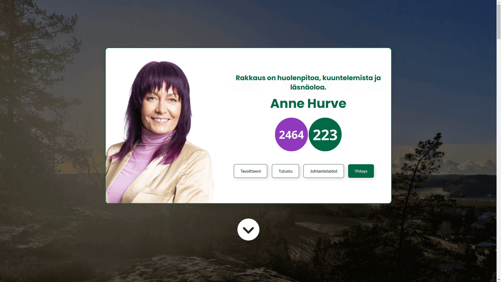 AnneHurve.fi WordPress verkkosivuston toteutus